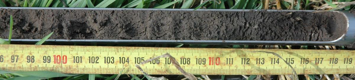 Soil core from the edge of the Blue River in Nebraska.